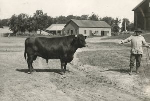 Photo: Minnesota Historical Society